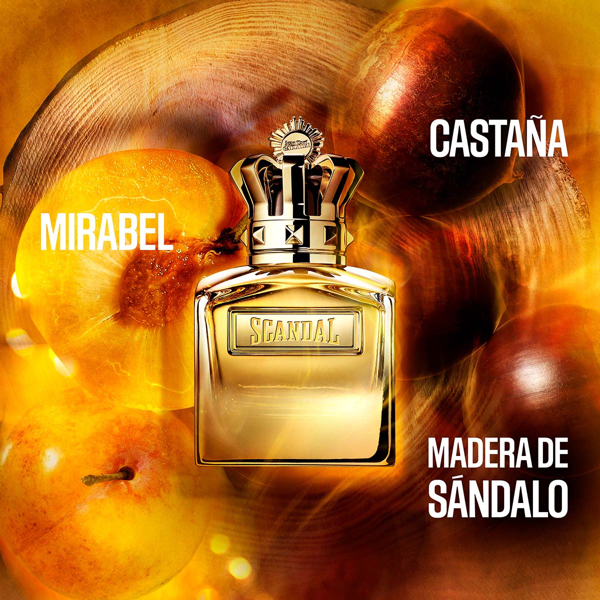 SCANDAL POUR HOMME ABSOLU PARFUM CONCENTRÉ